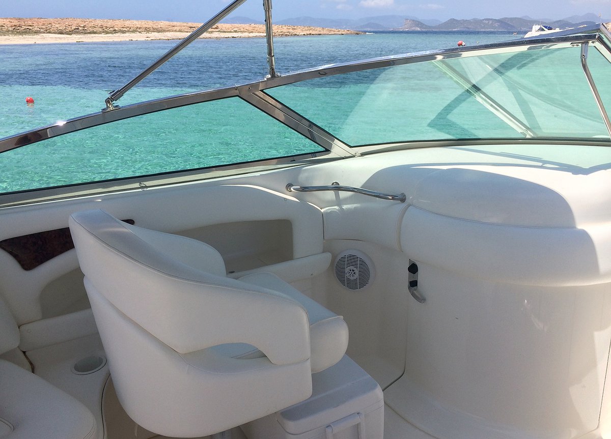 SEA RAY 295